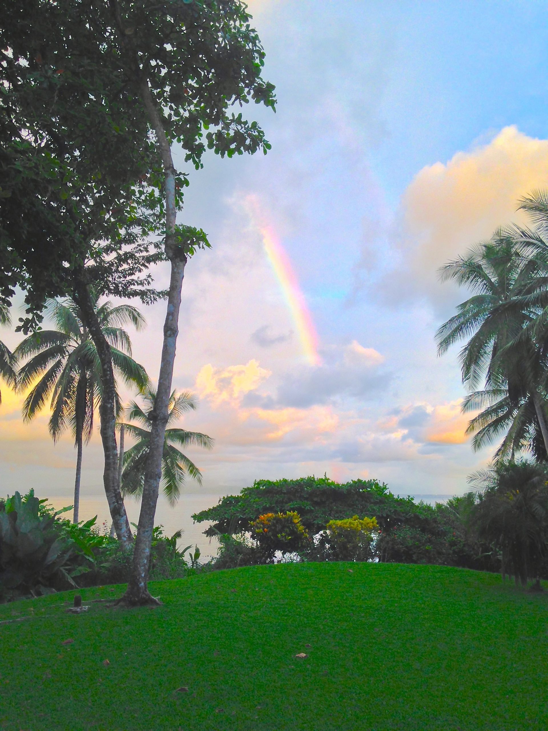 Rainbow over the beach with palm trees at Playa Pan Dulce Costa Rica