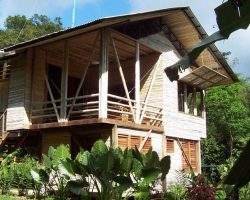 Casa Pina exterior shot bamboo jungle house with palm trees